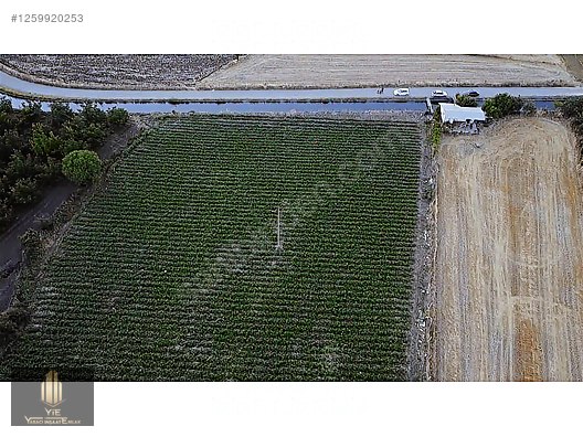 İLÇE MERKEZİNDE 8,5 DÖNÜM - BALIKESİR SINDIRGI fotoğraf 5