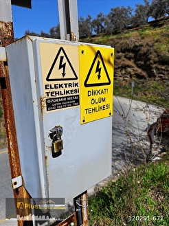 A PLUS GAYRİMENKULDEN YOLA CEPHELİ ELEKTRİK SU BULUNAN ZEYTİNLİK - İZMİR TİRE fotoğraf 4