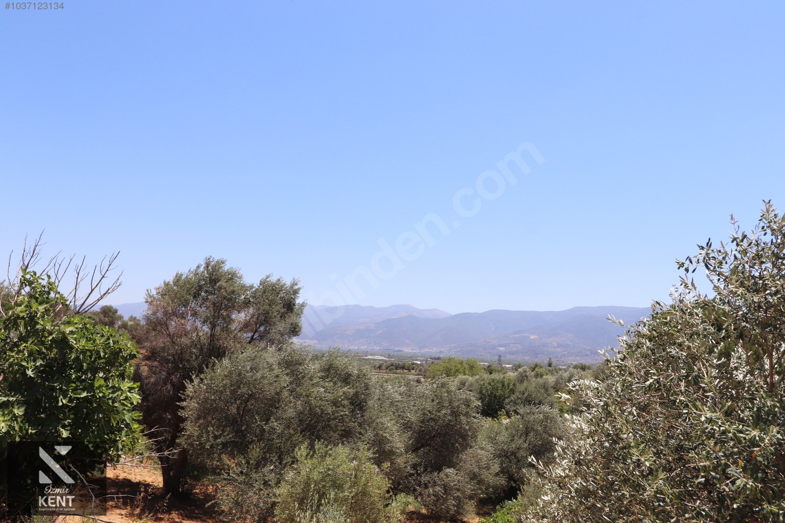 Kemalpaşa Çambel Satılık Bahçe 382 m2 - İZMİR KEMALPAŞA fotoğraf 5