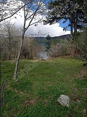 BURSA KELEŞ PINARCIK'TA 1.902 M²  BAHÇELİ KARGIR EV SATILIKTIR - BURSA KELES fotoğraf 6
