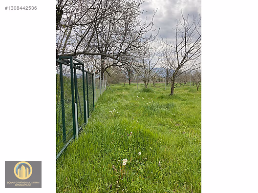 KUCUK YENICEDE RESMI YOLA CEPHE HOBI BAHCESI - BURSA İNEGÖL fotoğraf 17