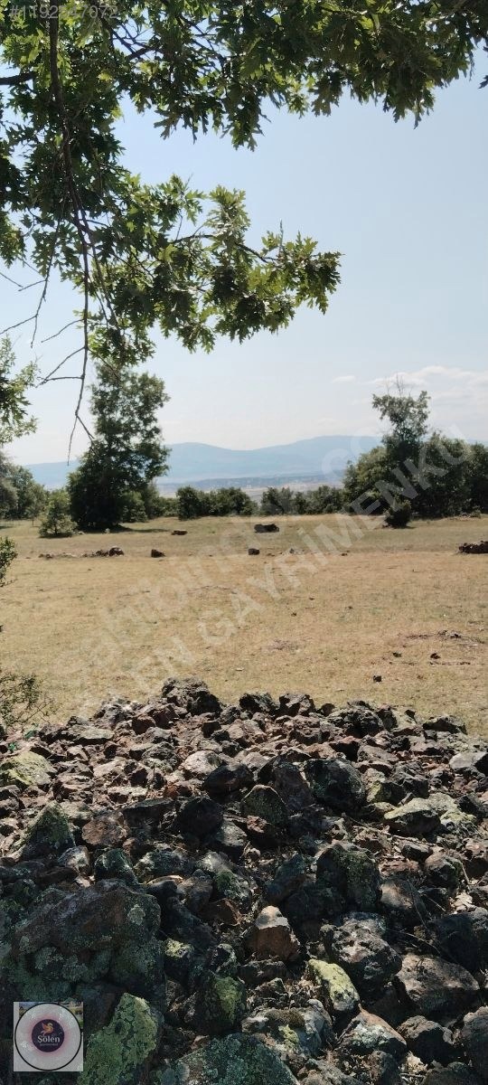 Kütahya merkez kozluca köyü nde satılık tarla - KÜTAHYA MERKEZ fotoğraf 15