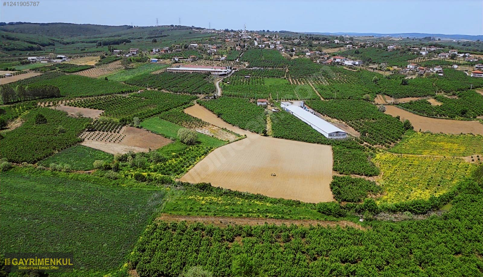 11.752 M² FIRSAT FINDIK BAHÇESİ SAKARYA KAYNARCA ZİAHMET MAH. - SAKARYA KAYNARCA fotoğraf 32