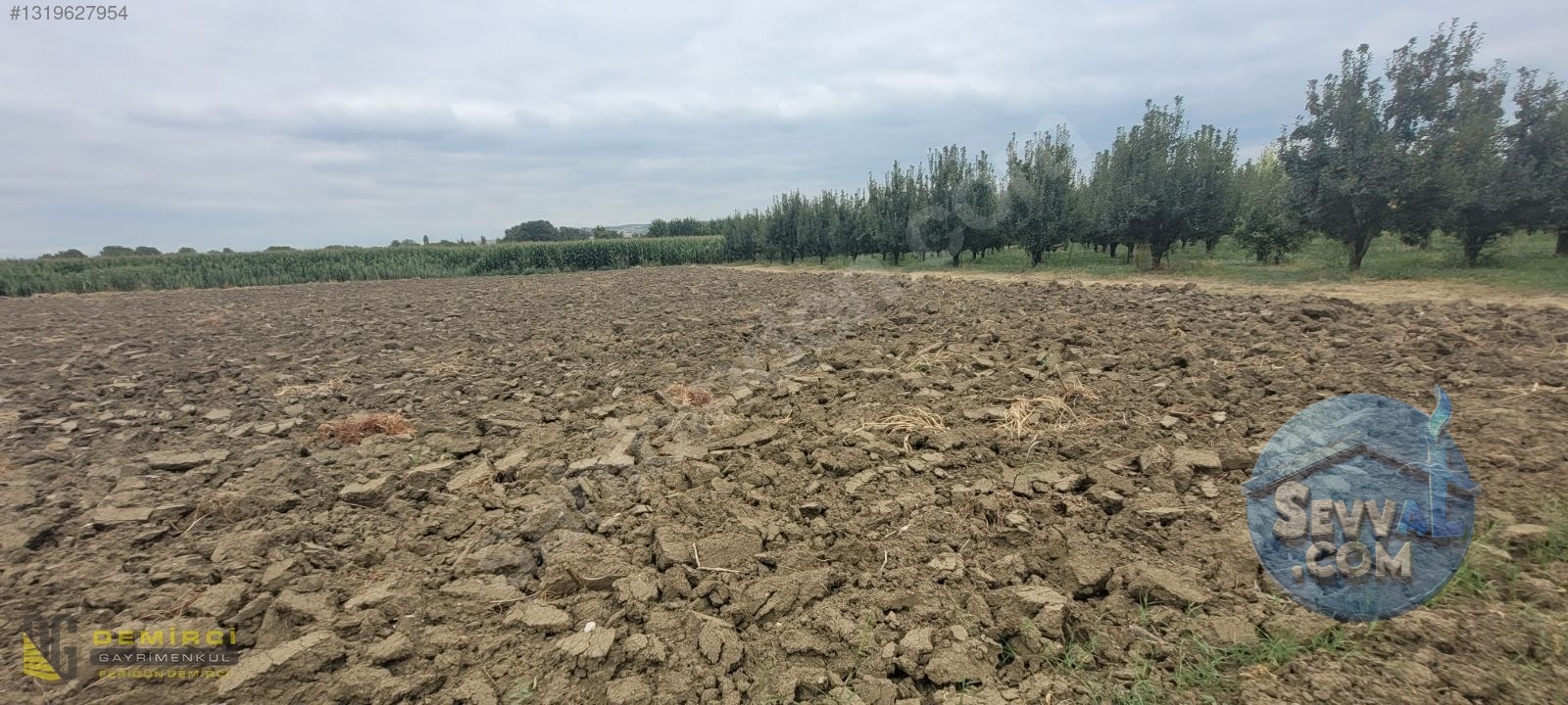 Ali Bey Köy'de Satılık Tarla 7884 M², Sulama Hatlı, Yola Yakın - BURSA İNEGÖL fotoğraf 9