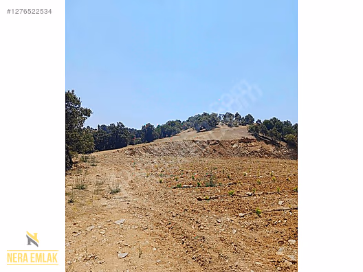 SARIGÖL YENİKÖY'DE ARAÇ TAKASLI UYGUN TEK TAPU 12.190m2 TARLA - MANİSA SARIGÖL fotoğraf 5