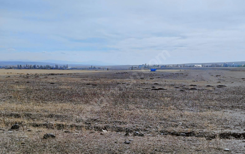 KARS SUSUZ İNCESU  KÖYÜNDE 12.850 M²  TARLAMIZ  SATILIKTIR - KARS SUSUZ fotoğraf 6
