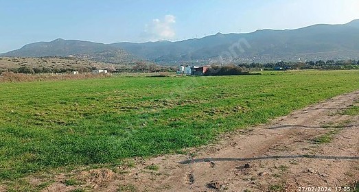 İZMİR ALİAĞA ÇITAK MAHALLESİ’NDE  4.125 M² ZEYTİN AĞAÇLI TARLA SATILIKTIR - İZMİR ALİAĞA fotoğraf 9