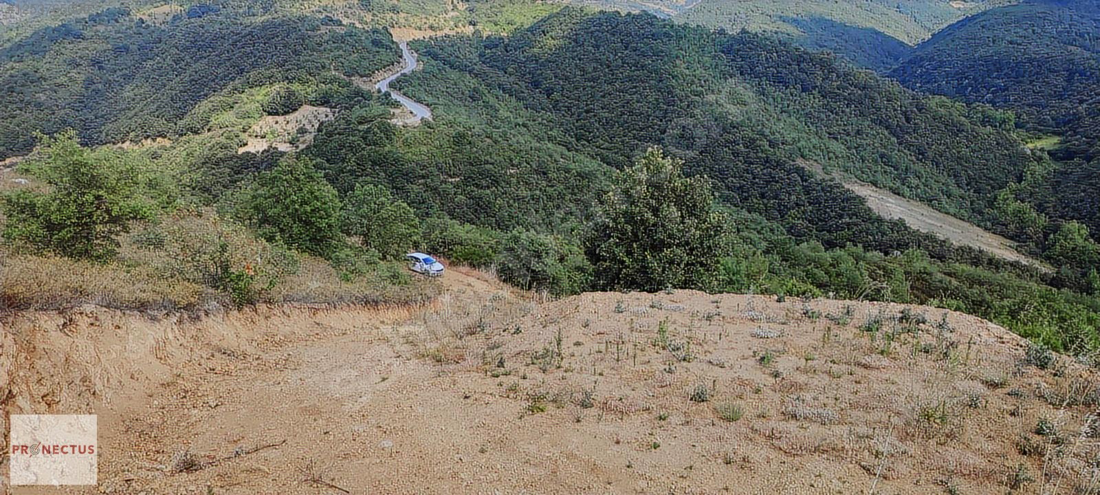ÇAMDİBİ BOZKURT MAH. 1448 M2 %5 İMARLI ARSA. - KOCAELİ KARAMÜRSEL fotoğraf 13