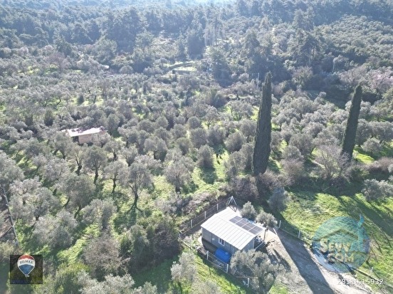 Kuşadası Kirazlıda fırsat bahçe - AYDIN KUŞADASI fotoğraf 12