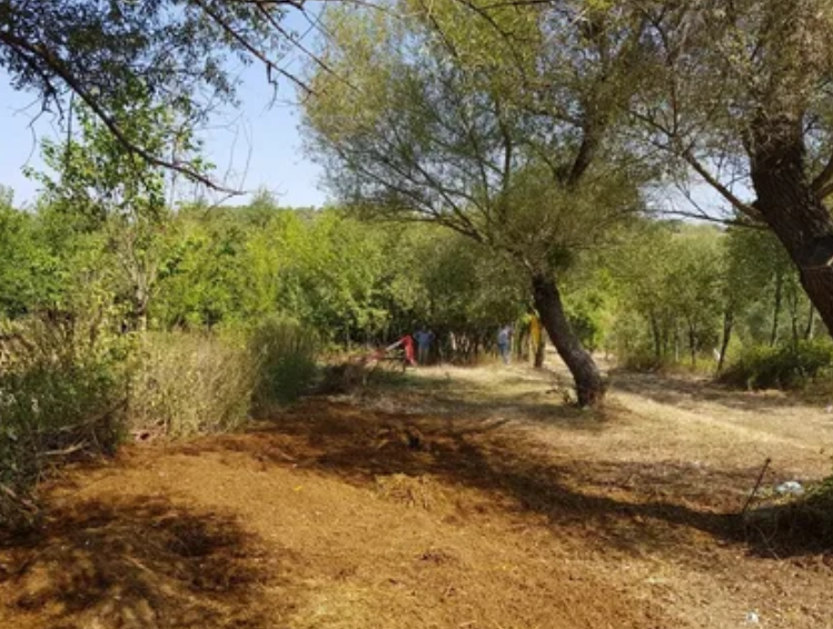 DENİZLİ BOZKURT HAYRETTİN 2.249 M² TARLAMIZ SATILIKTIR - DENİZLİ BOZKURT fotoğraf 3