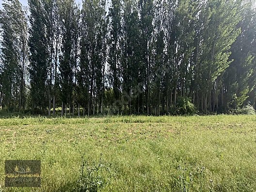 YAZIHAN KÖMÜŞHANDA ACİL SATILIK SULU TARLA - MALATYA YAZIHAN fotoğraf 17