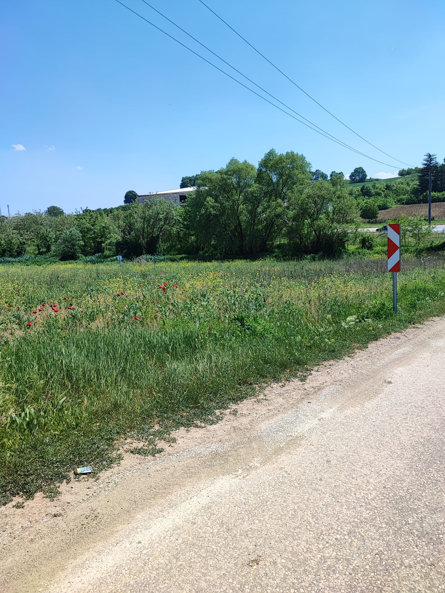 sahibinden arsa - BURSA İNEGÖL fotoğraf 10