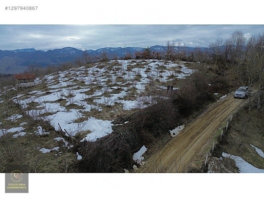 DÜZCE YIĞILCA HACILAR 'DA 2.744 M2 BAĞ EVİ OLAN FINDIK BAHÇESİ - DÜZCE YIĞILCA fotoğraf 9