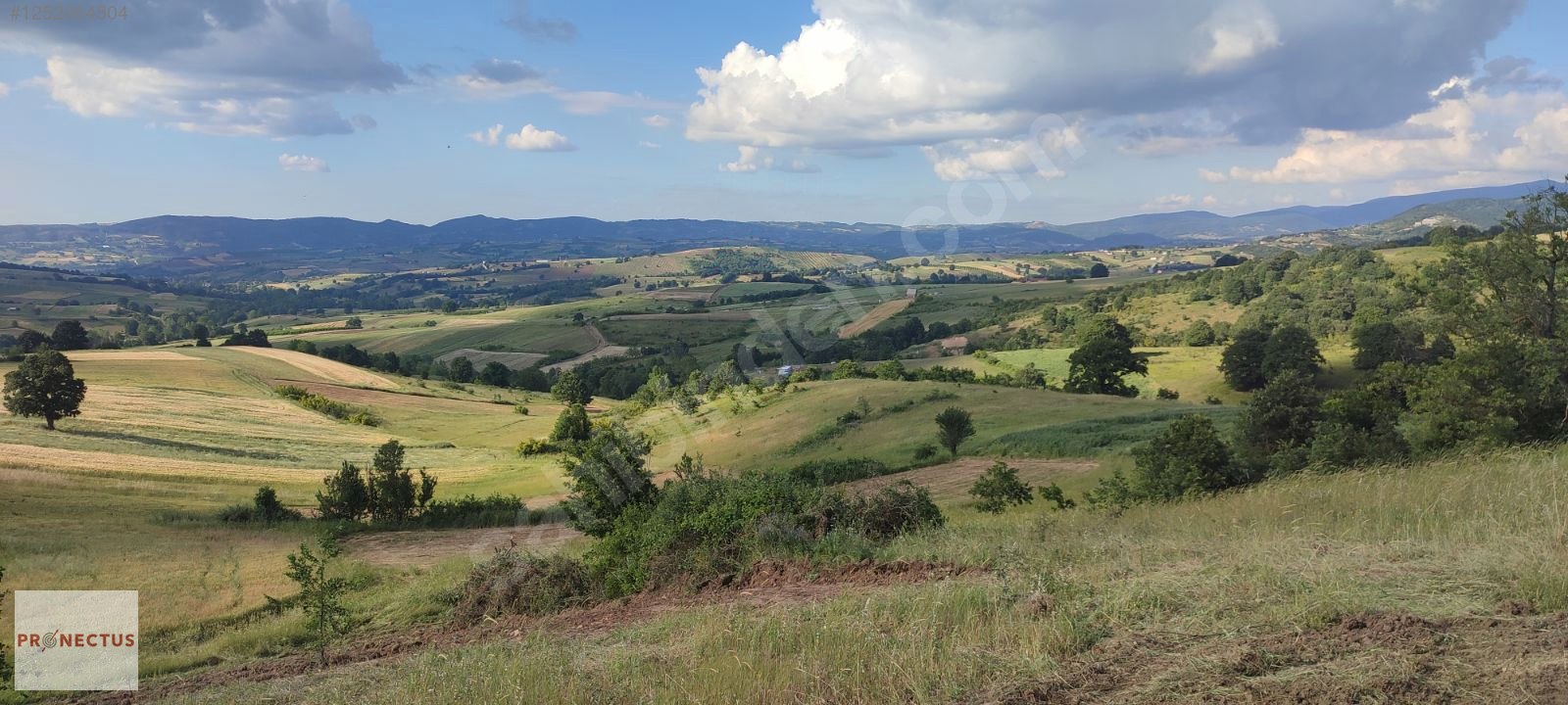 KIZDERBENT MAHALLESİNDE RESMİ YOLLU 2293 M2 SATILIK TARLA - KOCAELİ KARAMÜRSEL fotoğraf 15