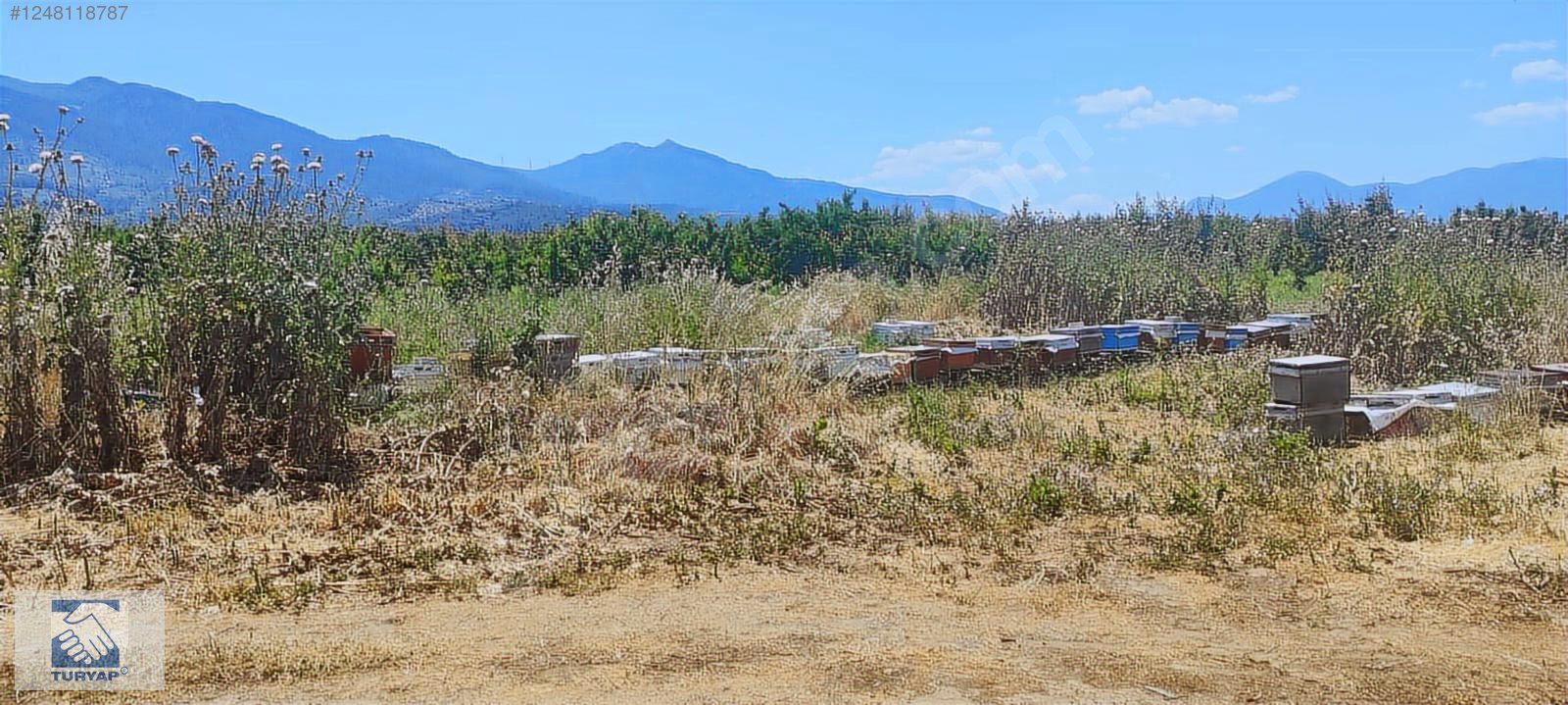 Kemalpaşa Örende 1234 M2 Satılık Müstakil Bahçe - İZMİR KEMALPAŞA fotoğraf 18