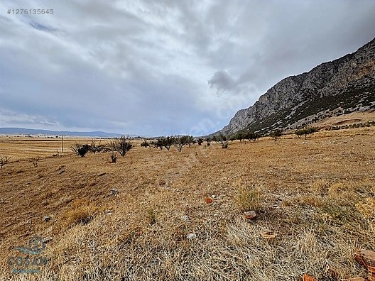 Burdur Yeşilova Alan Köy'de Satılık İmarlı Arsa (5760 m²) - BURDUR YEŞİLOVA fotoğraf 12