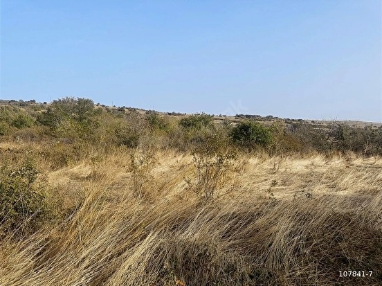SÜLEYMANDANIŞMENT KÖYÜNDE 1326 M2 BAĞ TAPU YATIRIMLIK ARAZİ - EDİRNE LALAPAŞA fotoğraf 9