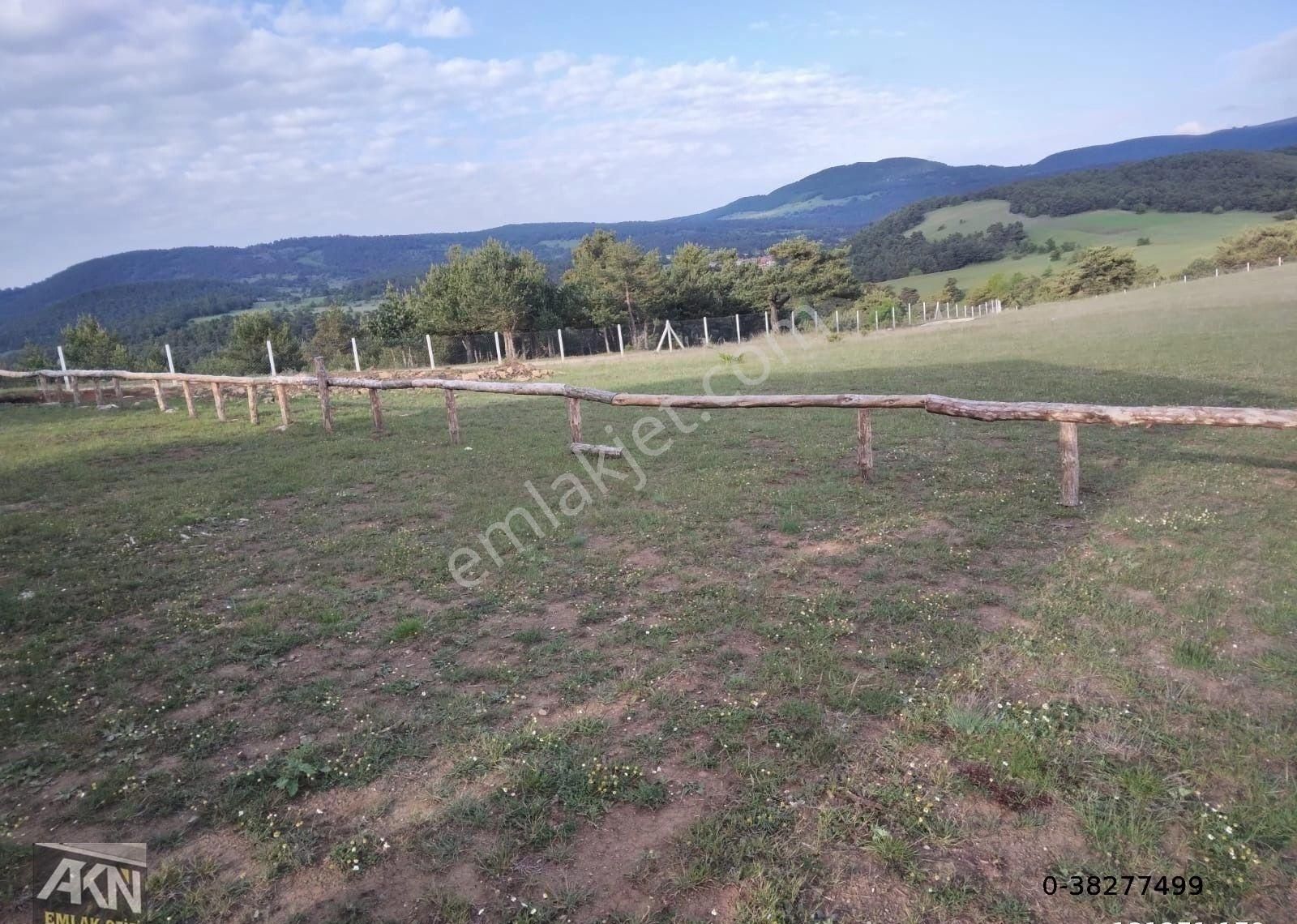 Akn Gayrimenkulden Satılık Çamiçinde Villa - TOKAT NİKSAR fotoğraf 5
