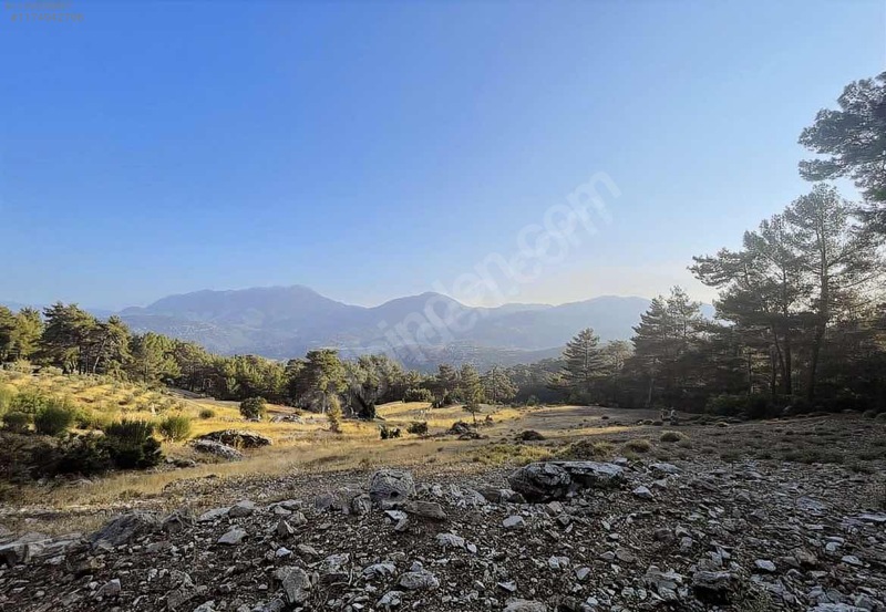 Antalya / Kaş / Çamlıköy Mahallesinde 1.257 m² SATILIK ARSA  - ANTALYA KAŞ fotoğraf 3