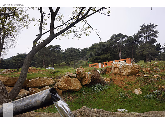 ÇANAKKALE BAYRAMİÇ DALOBA KÖYÜ 4781 m2 TARLA - ÇANAKKALE BAYRAMİÇ fotoğraf 13