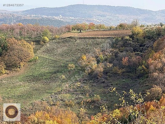 KESTEL LÜTFIYE MH SATILIK 1806M2 TARLA ASVALT YOLA CEPHE - BURSA KESTEL fotoğraf 17