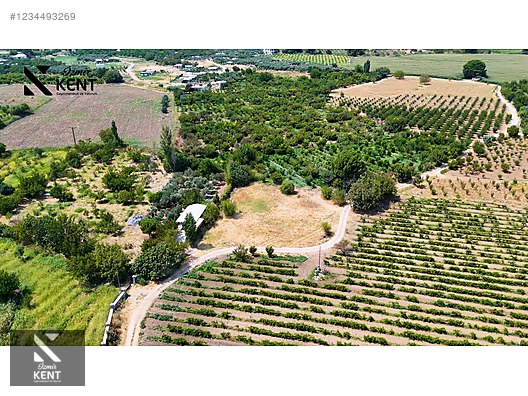 Kemalpaşa Yukarıkızılca Satılık 408 m2 Bahçe - İZMİR KEMALPAŞA fotoğraf 23