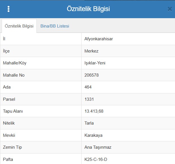 AFYONKARAHİSAR MERKEZ IŞIKLAR-YENİ KÖYÜ   13.413 M² TARLA SATILIKTIR - AFYONKARAHİSAR MERKEZ fotoğraf 9