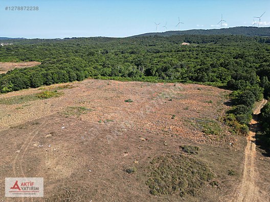 BAĞIRGANLI'DA ARKASI ORMAN ÖNÜ DENİZ 1093 M2 EŞSİZ SATILIK HİSSE - KOCAELİ KANDIRA fotoğraf 2