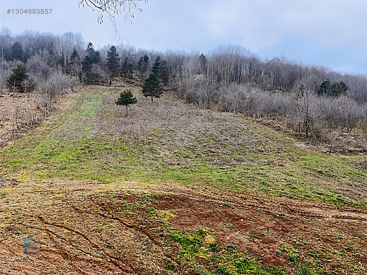 Gölcük İrşadiyede Eriklitepe Yatırımlık Arsa - KOCAELİ GÖLCÜK fotoğraf 19