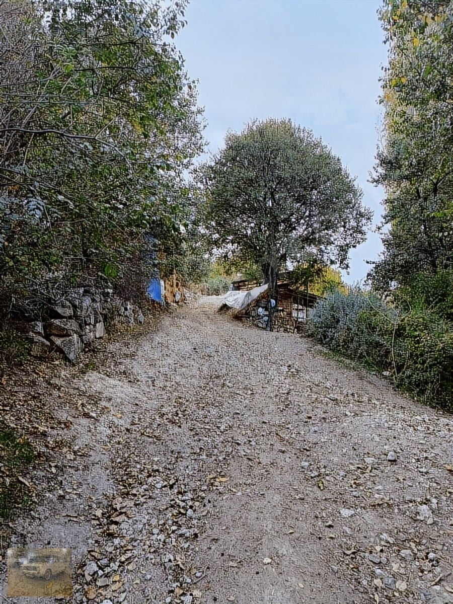 Kemer belenlide kòyiçi arsa bahçe suyu sınırsız sulama - BURDUR KEMER fotoğraf 18