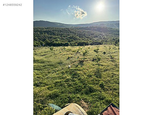 BURSA İZNİK BAYINDIR KÖYÜNDE 5.009 M TARLA SATILIKTIR - BURSA İZNİK fotoğraf 11