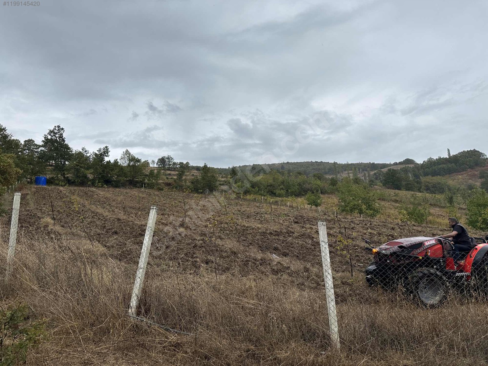 BURSA İZNİK SÜLEYMANİYE'DE  6.000 M² BAHÇEMİZ SATILIKTIR - BURSA İZNİK fotoğraf 5