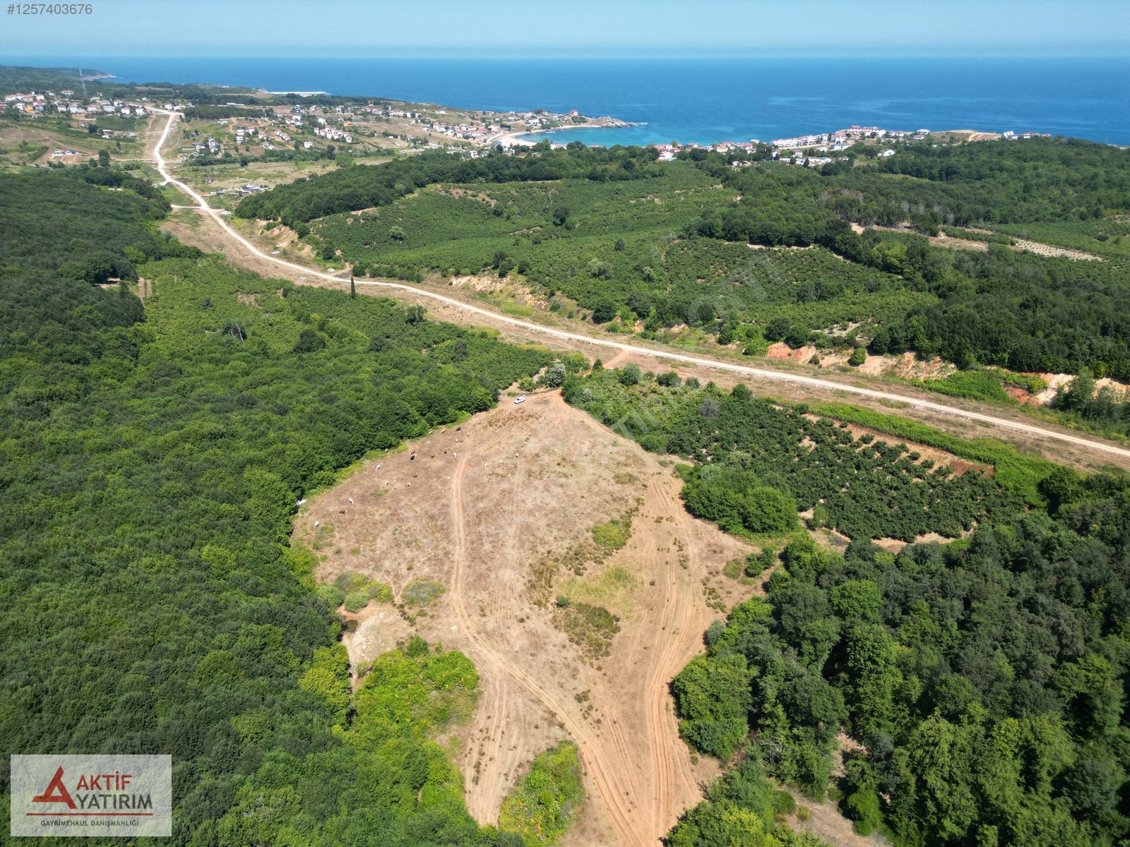 ORMANLA ÇEVRİLİ PLAJA YÜRÜME MESAFESİNDE 2118 M2 SATILIK HİSSE - KOCAELİ KANDIRA fotoğraf 7