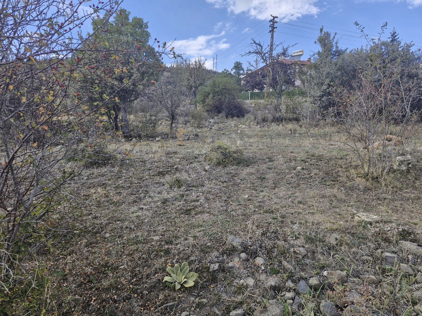 ANKARA  BEYPAZARI KARAŞAR KÖYÜNDE 2.310 M² TARLAMIZ SATILIKTIR - ANKARA BEYPAZARI fotoğraf 7