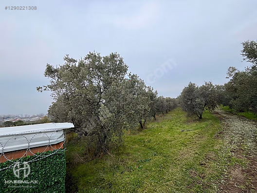 BÖLGE UZMANI HAS EMLAK DENİZ MANZARALI FIRSAT HOBİ BAHÇESİ - BURSA MUDANYA fotoğraf 59