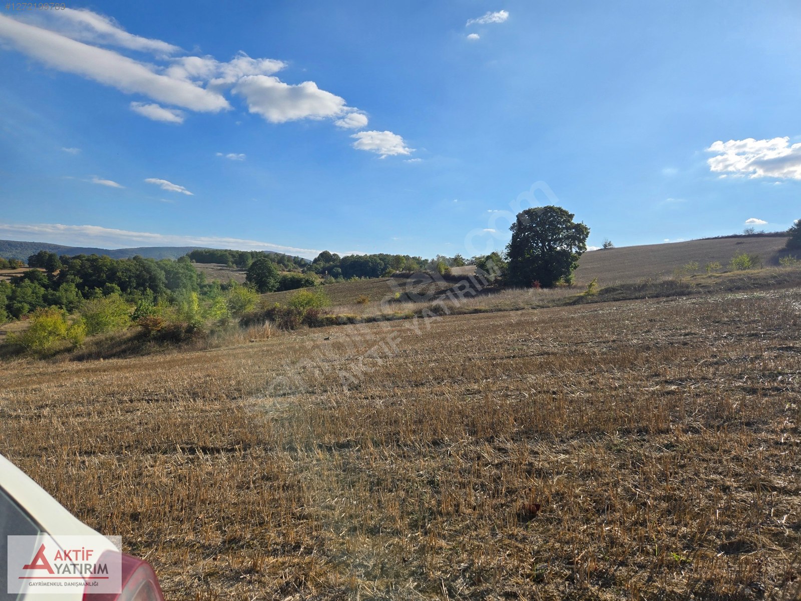 KANDIRA'DA ORGANİZEYE ÇOK YAKIN KISMİ İMAR İÇİNDE 4124 M2 TARLA - KOCAELİ KANDIRA fotoğraf 7