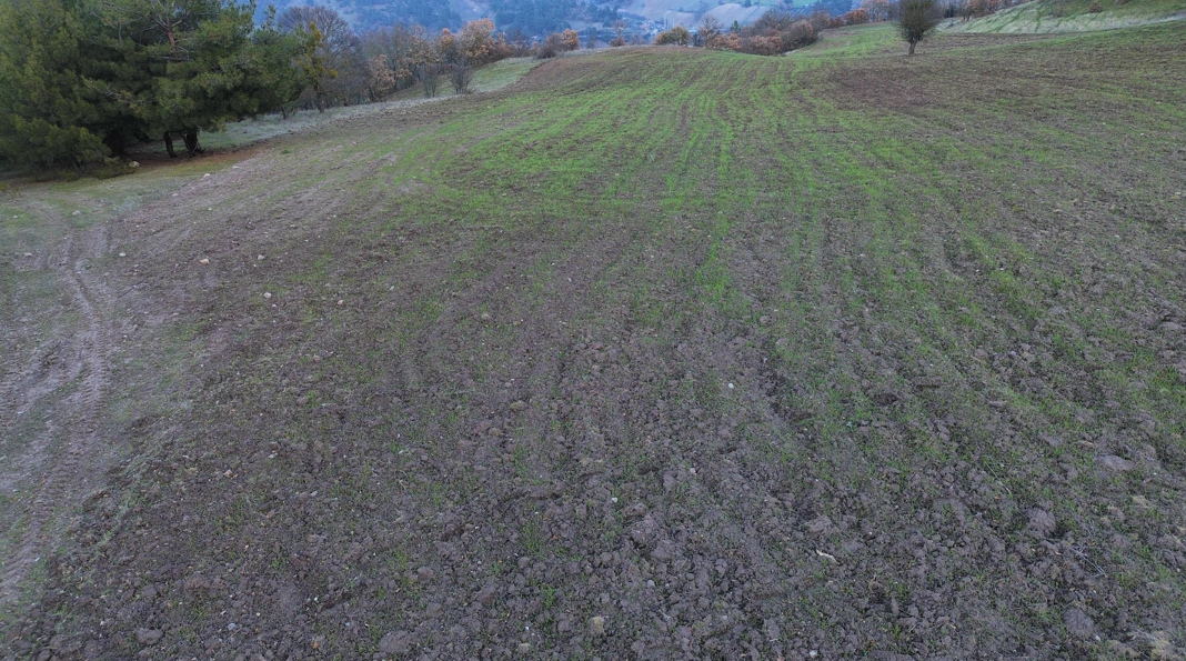 BALIKESİR SINDIRGI OSMANLAR  KÖYÜNDE  9.566   M²  TARLA  SATILIKTIR - BALIKESİR SINDIRGI fotoğraf 12