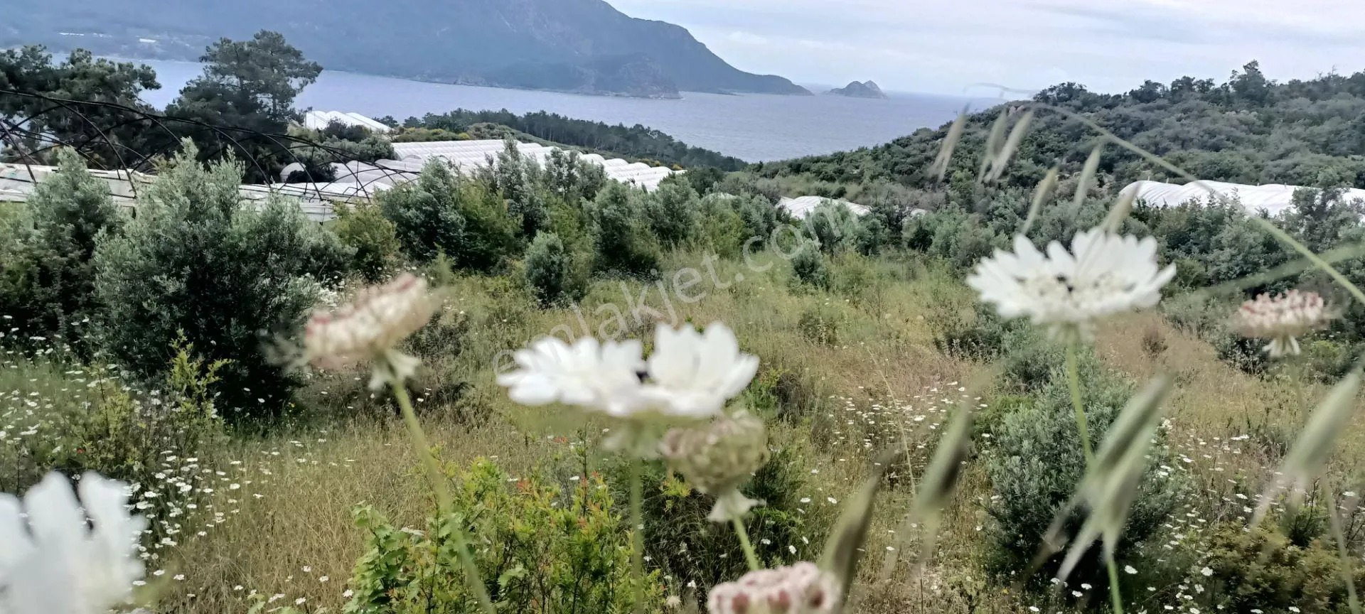 Kumluca Yenicepınar Da Deniz Manzaralı Satılık Arsa-tarla - ANTALYA KUMLUCA fotoğraf 23