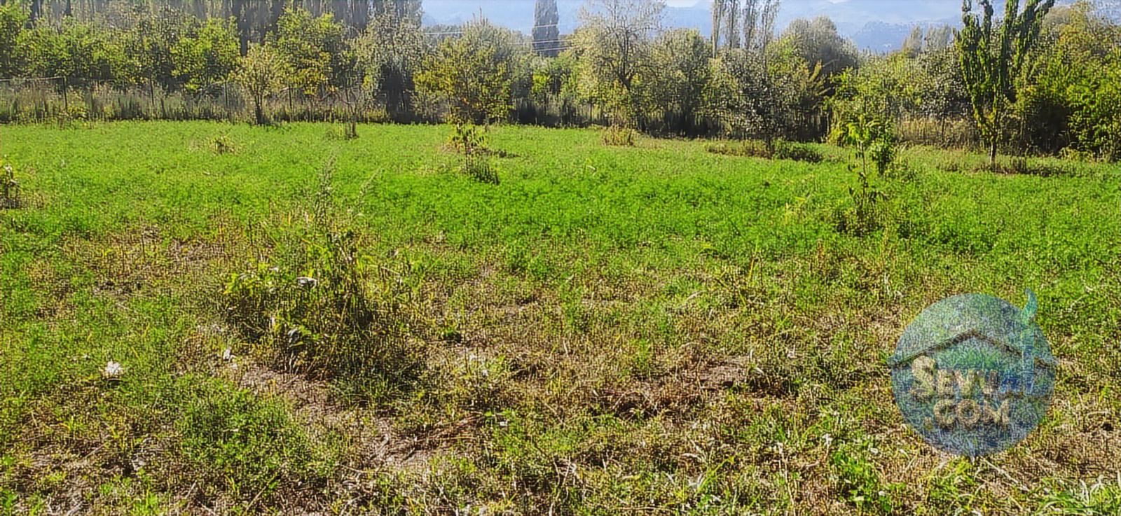 ASYA EVİM EMLAKTAN AĞLASUN KUM MAH DE FIRSAT HOBİ BAHÇESİ - Burdur Ağlasun fotoğraf 9