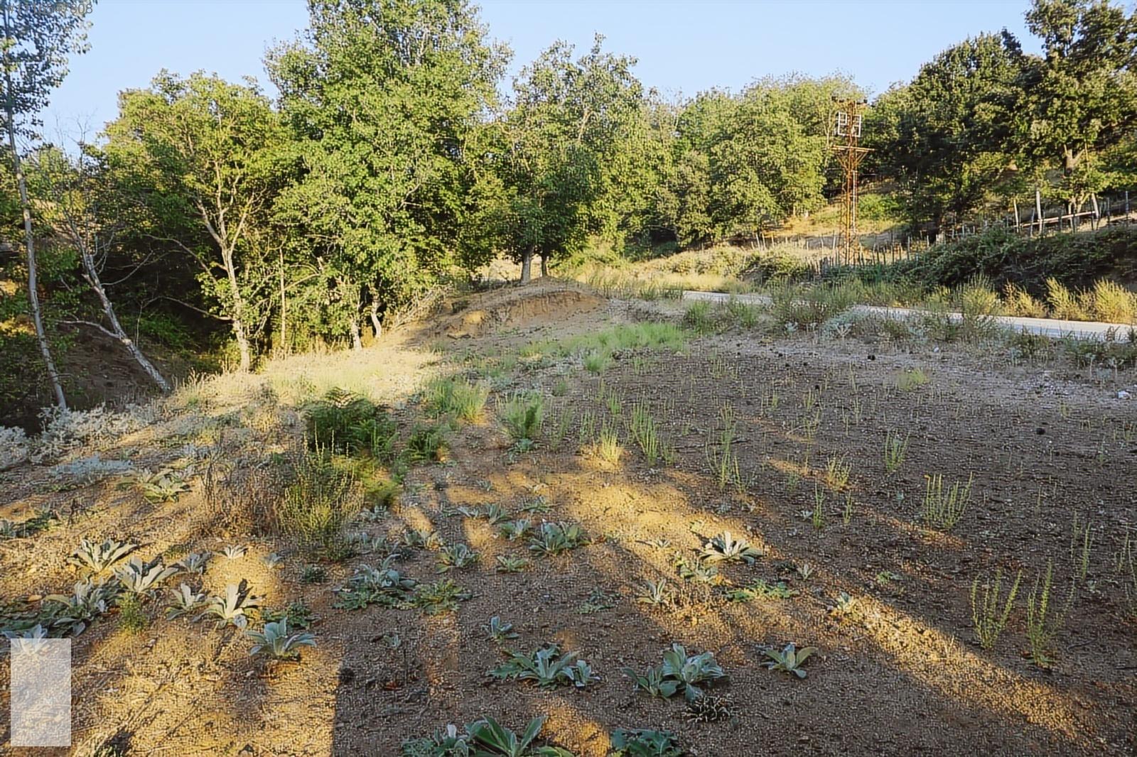 ÇANAKKALE BAYRAMİÇ SERHAT KÖYÜ 592 m2 % 80 İMARLI ARSA - ÇANAKKALE BAYRAMİÇ fotoğraf 18