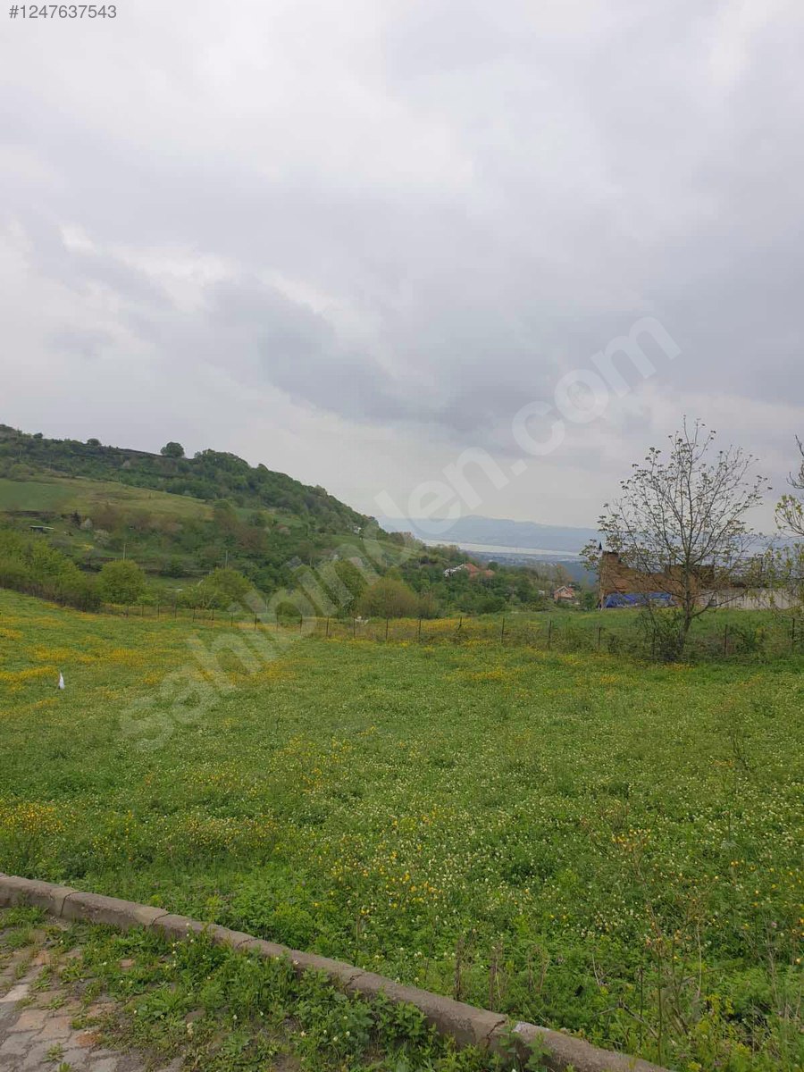 Kartepe tarla - KOCAELİ KARTEPE fotoğraf 5