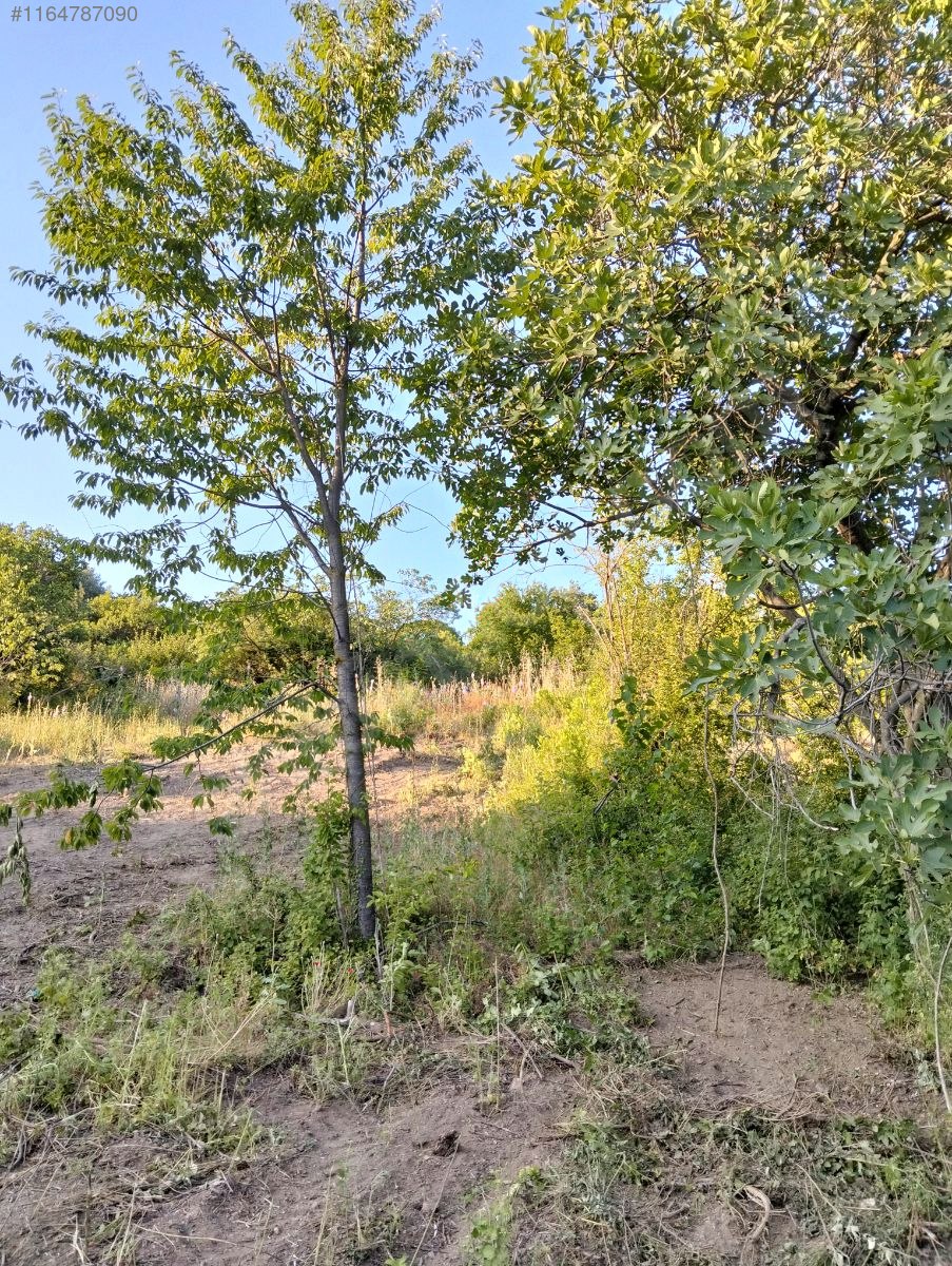 BURSA KESTEL AKSU KÖYÜNDE 2.059 M² TARLA SATILIKTIR - BURSA KESTEL fotoğraf 19