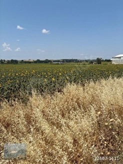 LÜLEBURGAZ İLÇESİ AHMETBEY BELDESİNDE ANA YOLA CEPHELİ ARAZİ - KIRKLARELİ LÜLEBURGAZ fotoğraf 3