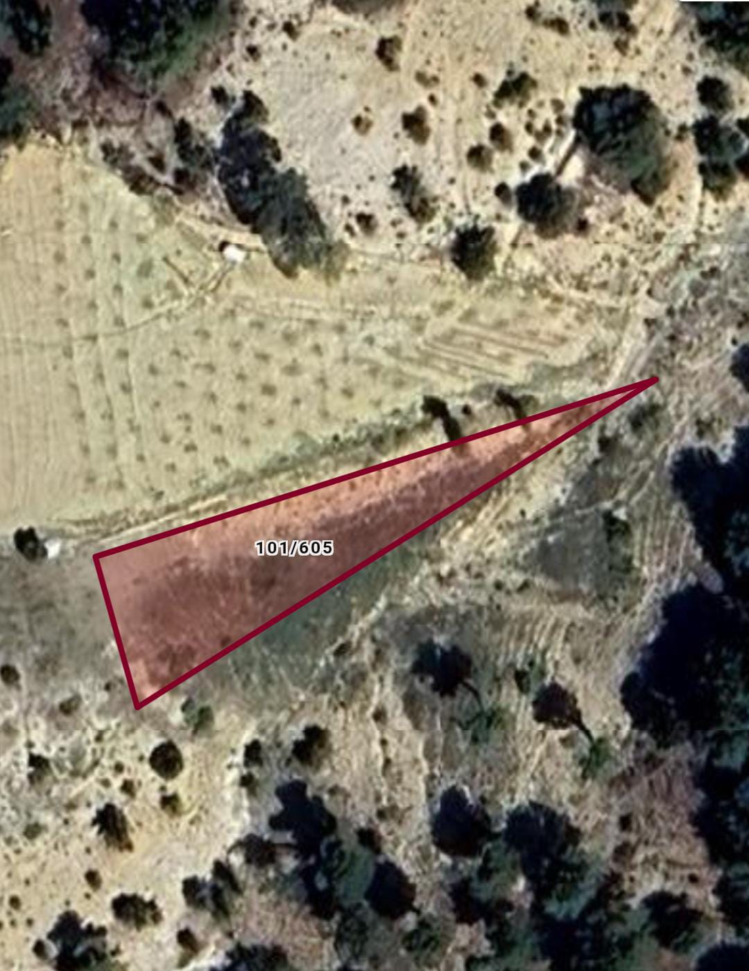   MERSİN MUT KAYAÖNÜ KÖYÜ 704M² ELMA BAHÇEMİZ SATILIKTIR.   - MERSİN MUT fotoğraf 3