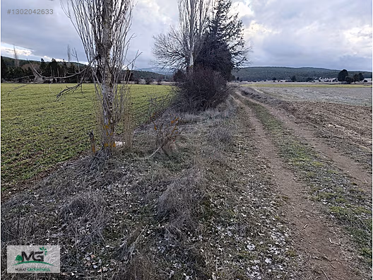 KÜTAHYA ALTINTAŞ PINARCIK KÖYÜNDE KELEPİR TARLALAR ARSALAR - KÜTAHYA ALTINTAŞ fotoğraf 16