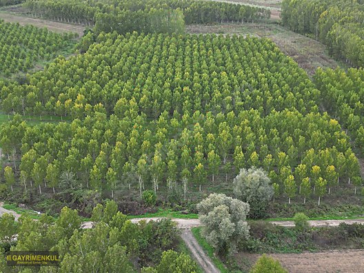 YATIRIM FIRSATI! ERENLER/ŞEYHKÖY MAH. 24.620 M² - SAKARYA ERENLER fotoğraf 32