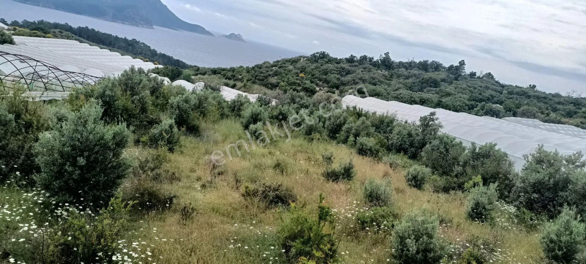 Kumluca Yenicepınar Da Deniz Manzaralı Satılık Arsa-tarla - ANTALYA KUMLUCA fotoğraf 22