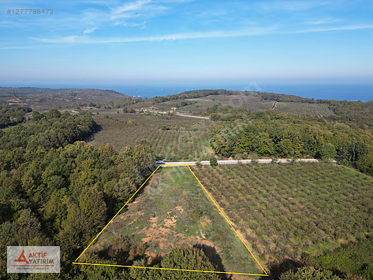 ÜNLÜ SARDALA KOYU'NA 8 DK MESAFEDE ASFALT CEPHELİ 2523 M2 TARLA - KOCAELİ KANDIRA fotoğraf 4