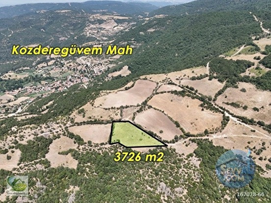 🚨 KOZDEREGÜVEM'DE 3.726 M² RESMİ YOLLU MANZARALI HARİKA TARLA 🚨 - BALIKESİR ALTIEYLÜL fotoğraf 11