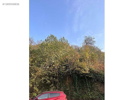 ESPİYE SATILIK BAHÇE 2650 MK HACIMAHMUTLU KÖYÜ ŞEHRE 15 DK - GİRESUN ESPİYE fotoğraf 10